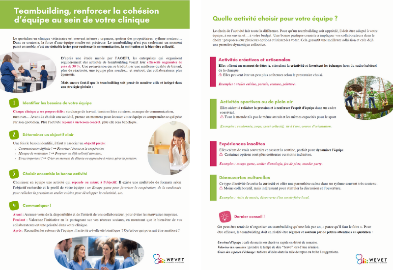 Teambuilding, renforcer la cohésion d'équipe au sein de votre clinique