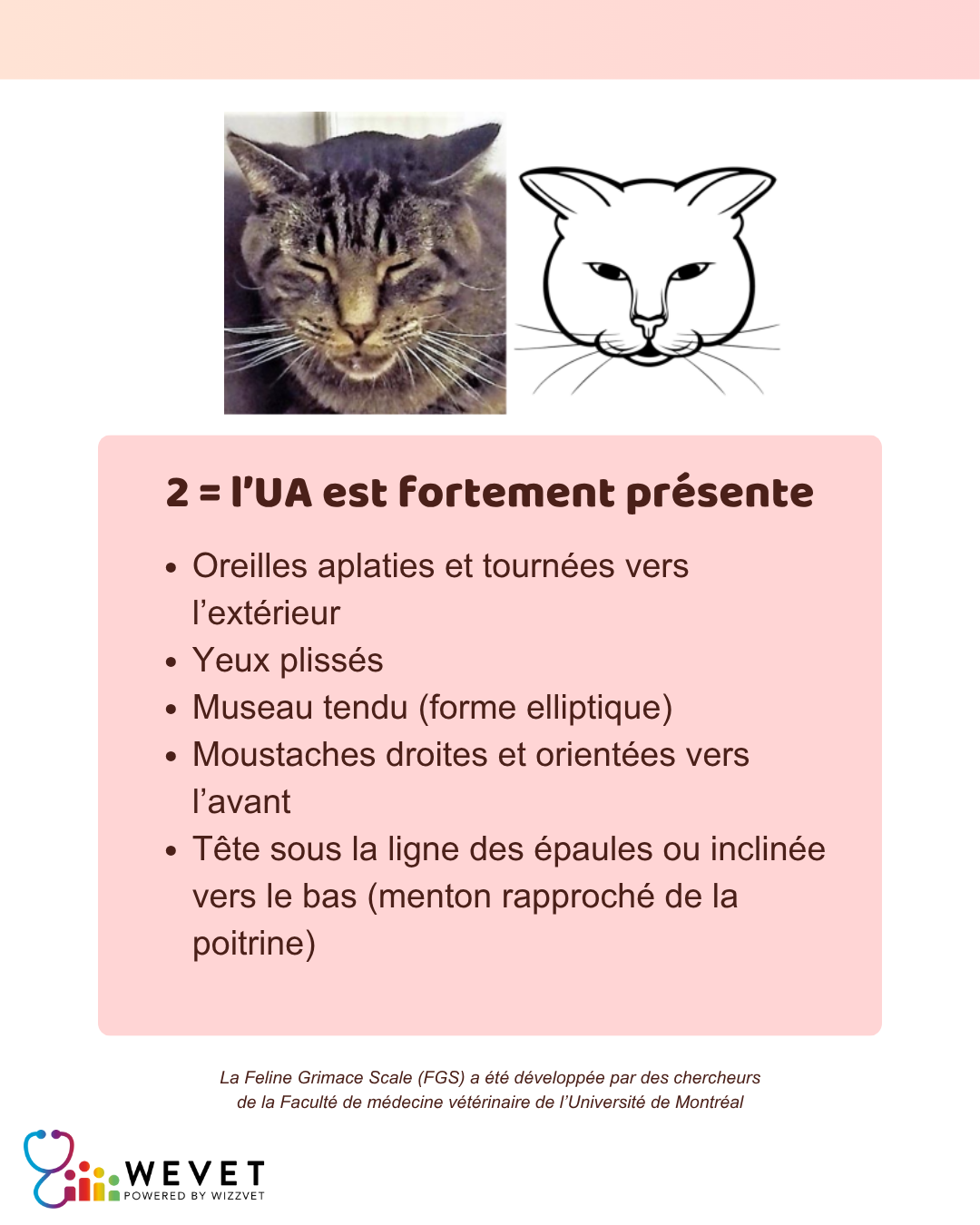 Third slide